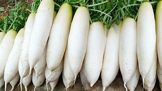 戳我试试